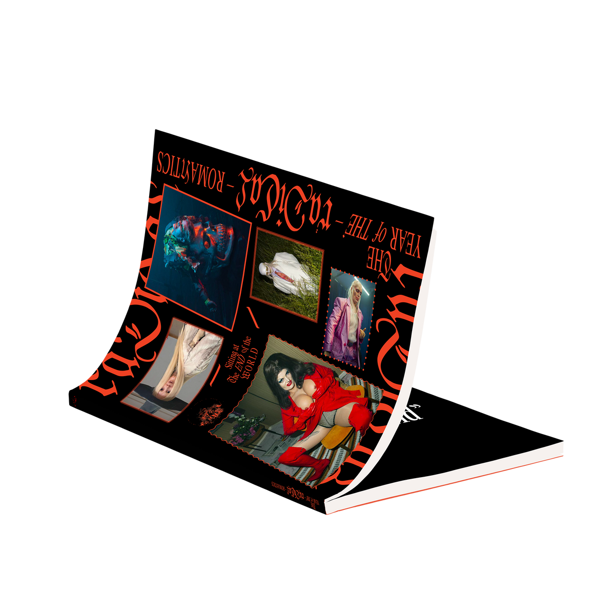 The Year Of The Radical Romantics Publication