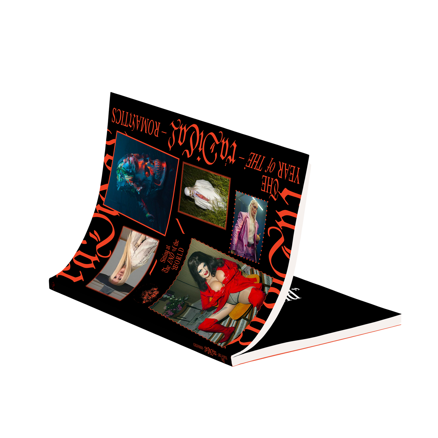 The Year Of The Radical Romantics Publication