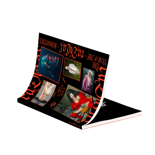 The Year Of The Radical Romantics Publication