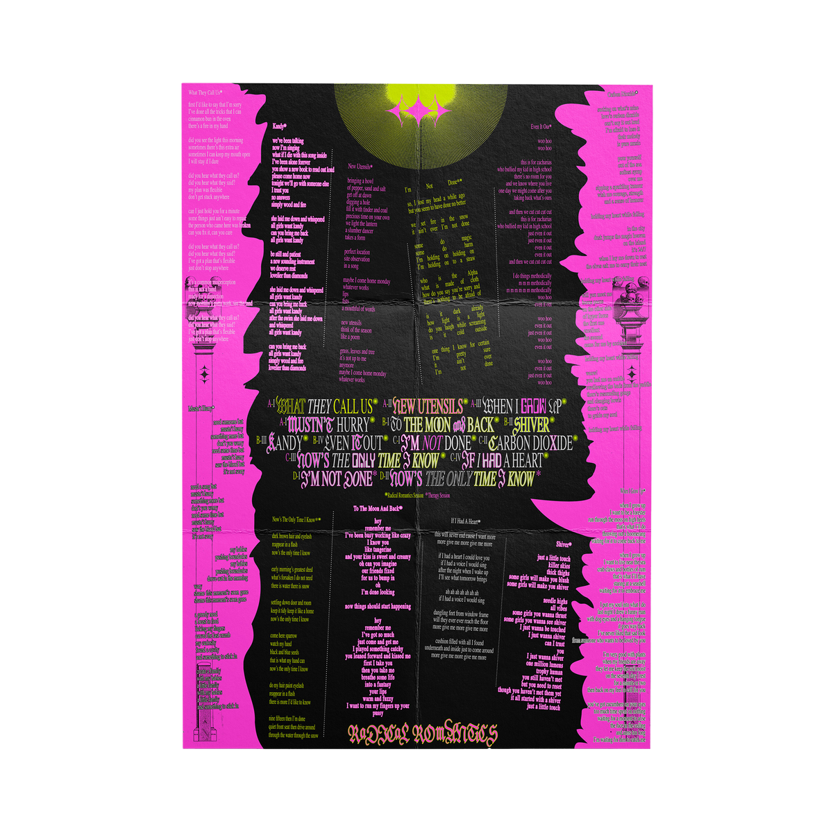 The Year Of The Radical Romantics LP